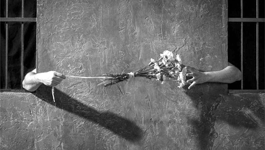 An arm emerges from the cell bars swinging a bouquet of flowers on a string towards the outstretched hand of the neighboring cell mate.