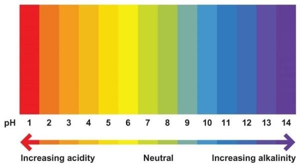 A pH scale showing pH 1-14. pH 7-8 has a green marking and is slightly more alkaline than neutral